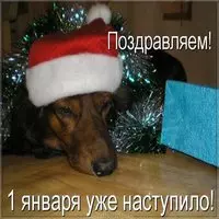 Первый день года картинка