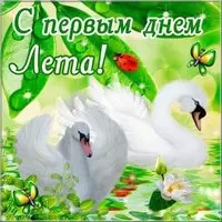 Первый день лета 2018 картинка