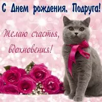 Картинка с котом и розами — подруге с днём рождения