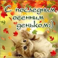 Последний день осени прикольная картинка