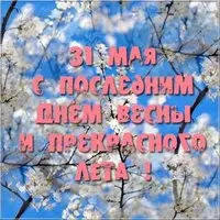 Последний день весны картинка 31 мая