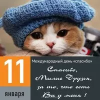 Картинка с котом в шапке — спасибо, милые друзья