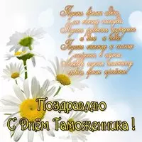 Картинка с ромашками и стихами таможеннику