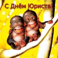 Прикольная открытка с обезьянками — с Днём юриста