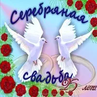 Поздравление с серебряной свадьбой открытка