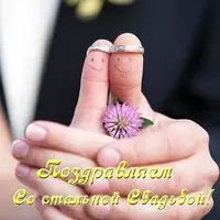 Поздравление со стальной свадьбой прикольная открытка
