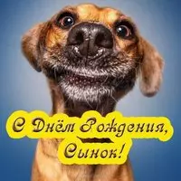 Поздравление сыну с днем рождения открытка прикольная