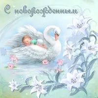 Картинка с малышом на лебеде — с новорожденным