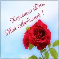 Картинка с алой розой — хорошего дня, мой любимый