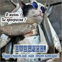 Прикольная картинка для Адама