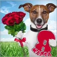 Прикольная картинка к 8 марта