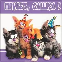 Прикольная картинка привет Сашка
