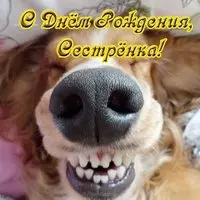 Прикольная открытка для сестры с днем рождения