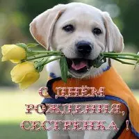 Прикольная открытка на день рождения сестре