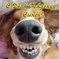 Прикольная открытка с днем рождения сына
