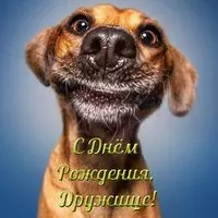 Прикольная открытка с днём рождения друга