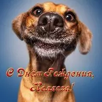 Прикольная открытка с днём рождения коллеге