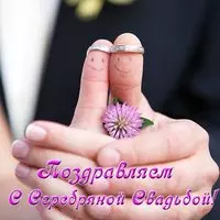Прикольная открытка с серебряной свадьбой