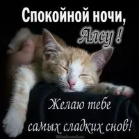 Прикольная смешная картинка спокойной ночи Алсу