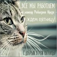 Прикольное фото доброе утро пятница
