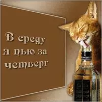 Прикольная картинка с котом — в среду пью за четверг