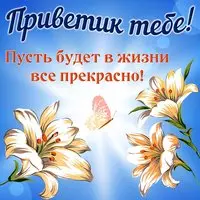 Картинка с лилиями — приветик тебе