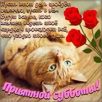 Приятной субботы прикольная картинка