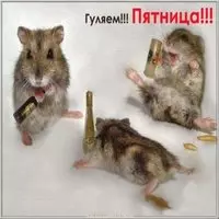 Пятница веселая картинка с надписями