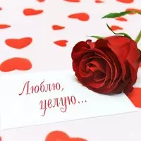 Родная, люблю тебя