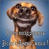 Прикольная картинка с собакой — хочу поздравить всех