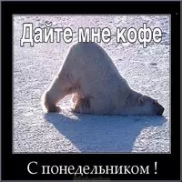 С добрым понедельником картинка прикольная