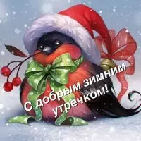 Картинка со снегирём в колпаке — с добрым зимним утром
