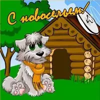 С новосельем дорогие вас