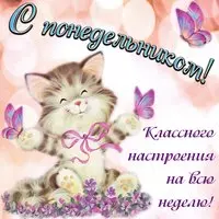 Картинка с котёнком — с понедельником, классной недели