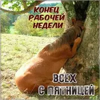 С пятницей картинка смешная бесплатная