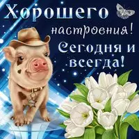 Прикольная картинка с поросёнком — хорошего настроения