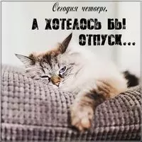 Сегодня четверг картинка прикольная