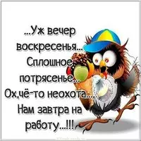Сегодня воскресенье а завтра понедельник картинка прикольная