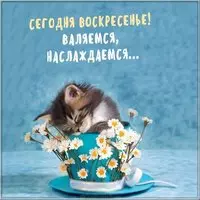 Сегодня воскресенье прикольная картинка
