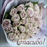 Шикарная картинка спасибо