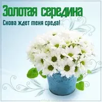 Среда день недели картинка прикольная
