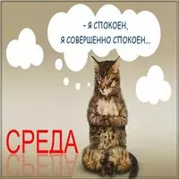 Среда смешная картинка