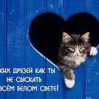 Таких друзей как ты не сыскать