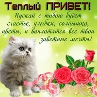 Открытка с котёнком и розами — тёплый привет