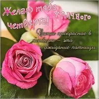 Удачного четверга картинка прикольная