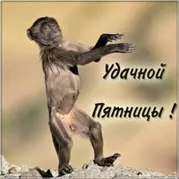 Удачной пятницы картинка прикольная