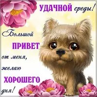 Удачной среды картинка прикольная