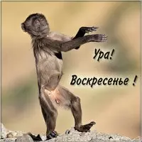 Ура воскресенье картинка прикольная
