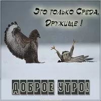 Утро среды прикольная картинка с надписями