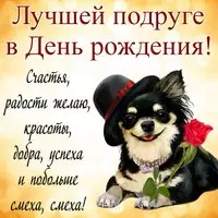 Прикольная открытка с чихуахуа лучшей подруге